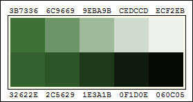 Picture of Green Color Pallette.