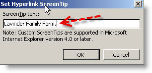 set screen tip image.