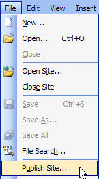 Screenshot Publish menu.